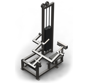 Triceps Press/Dip (300 lb.)