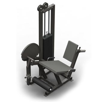 Leg Ext. with Range of Motion (250 lb.)