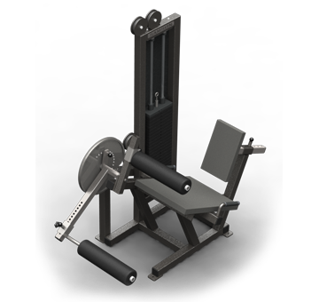 Seated Leg Curl/Ext. with ROM (250 lb.)