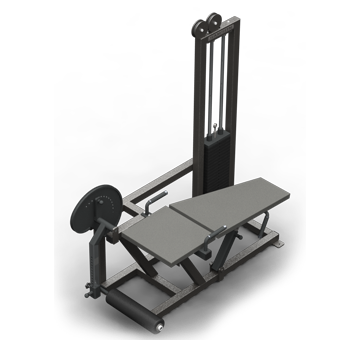 Leg Curl/Ext.Machine (250 lb.)