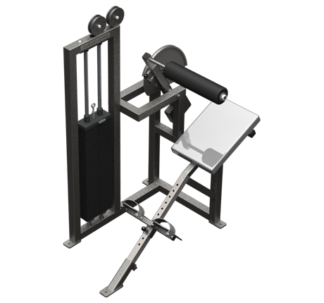 Lower Back with ROM (400 lb.)