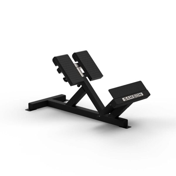 45 Degree Hyperextension