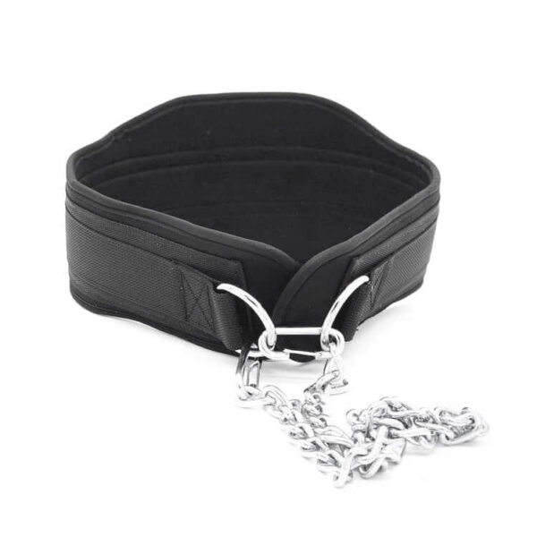 Dip Belt