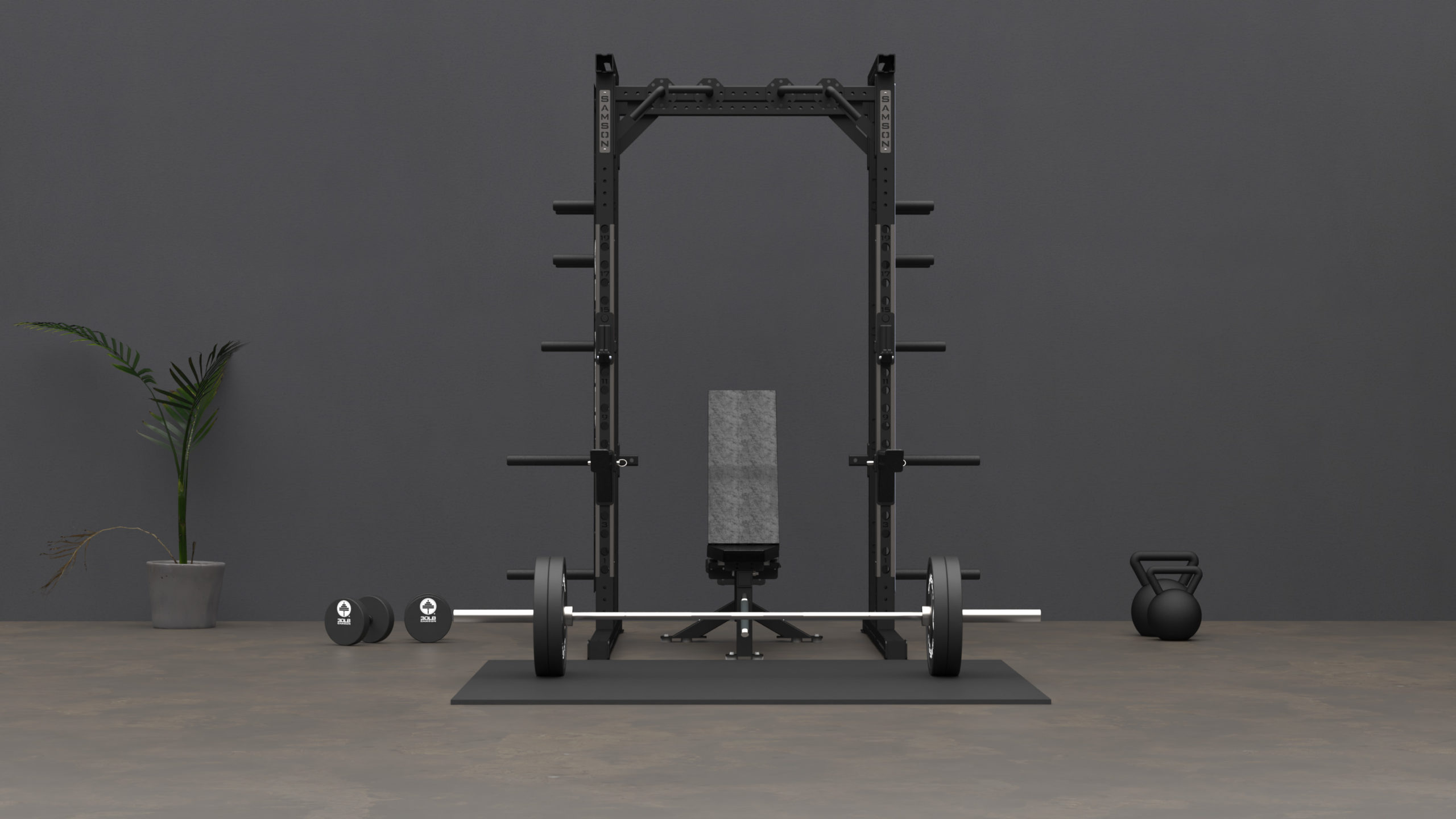 Top 3 Reasons to Own a Home Gym Top 3 Reasons to Own a Home Gym