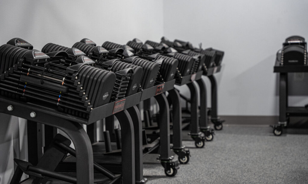 Powerblocks: Samson's #1 Adjustable Dumbbells Solution