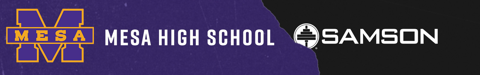 Mesa High School Mesa High School